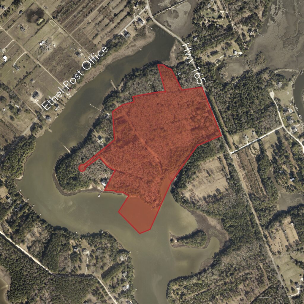 For Sale Residential Acreage in Meggett, S.C. Palmetto Commercial
